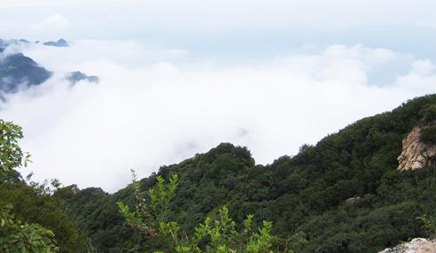 【江門2天品質游】新會古兜溫泉、天然山泉水世界、陳